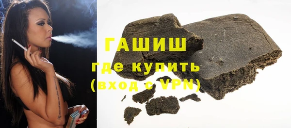 твердый Бердск