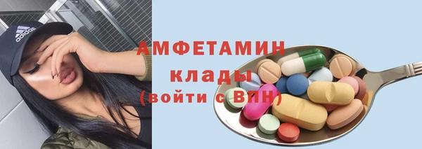 молекула духа Бородино