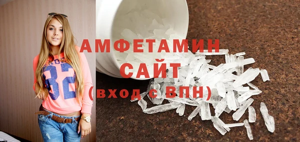 твердый Бердск