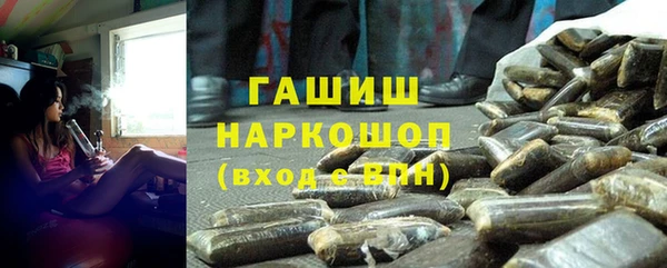 молекула духа Бородино